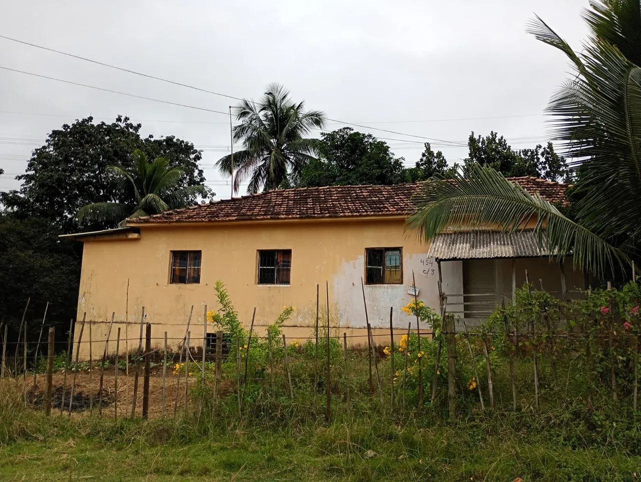 Foto Vendo Mini Sítio Em Cabuçu Campo Alegre