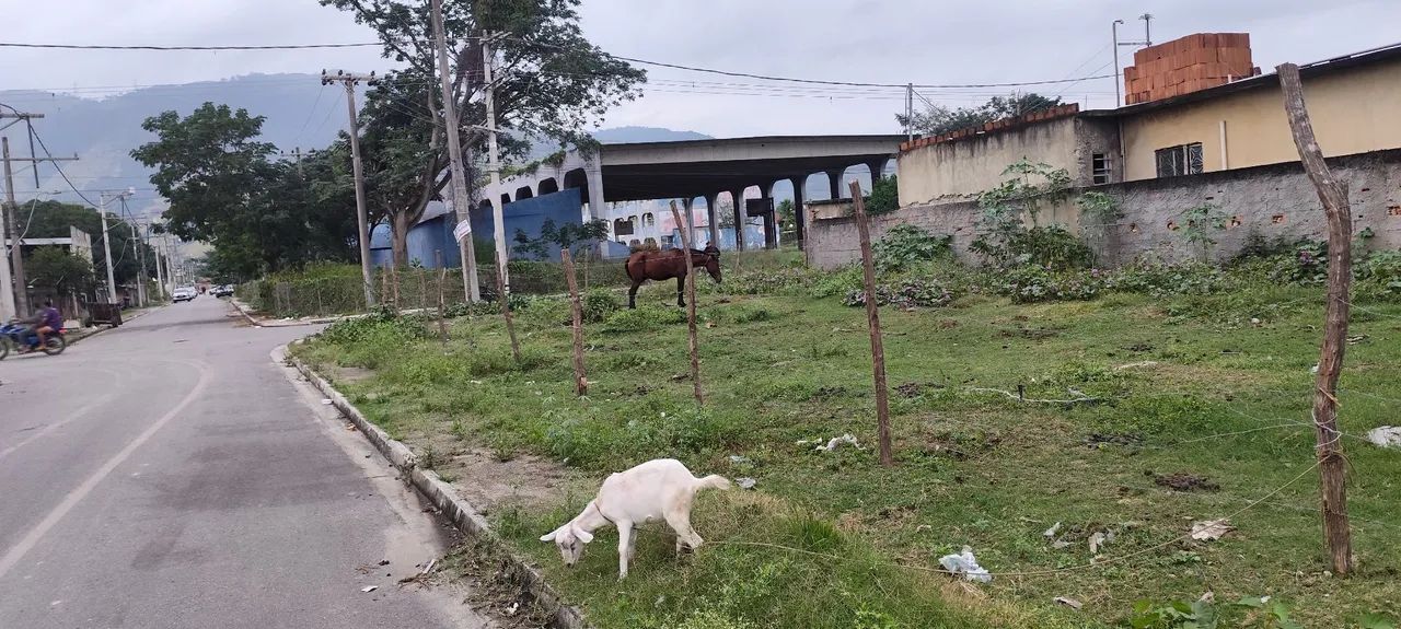 Foto Vendo Esse Terreno Perto Da Praça De Cabuçu Cabuçu