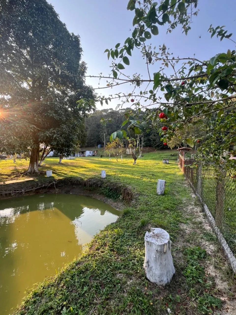 Foto Sítio Em NI Barão De Guandu